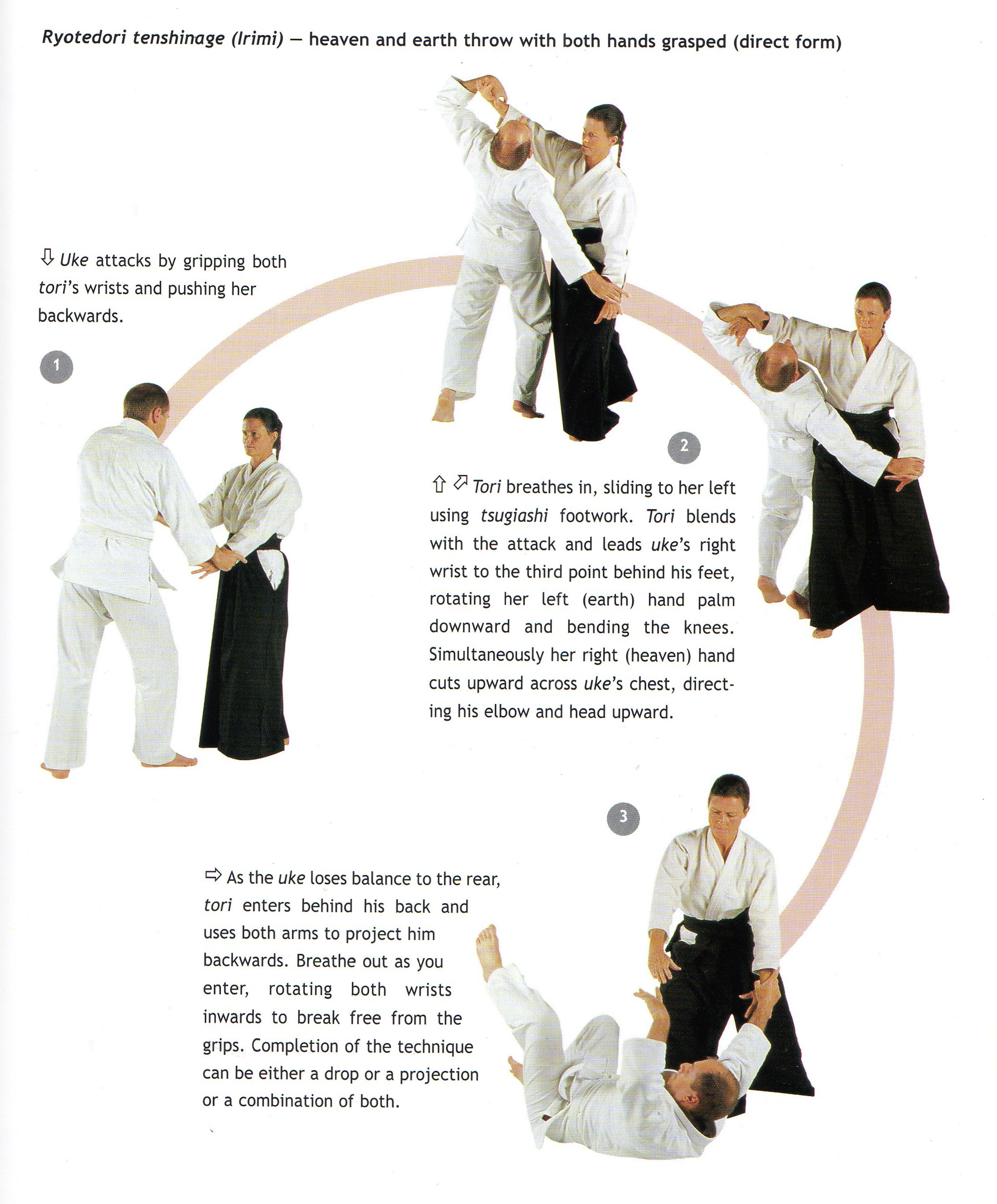 Aikido (defensive martial art) - Japanophilia