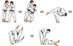 https://en.wikipedia.org/wiki/Judo