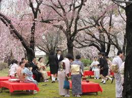 Chakai,Tea ceremony