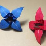 Origami ( art of paper folding)
