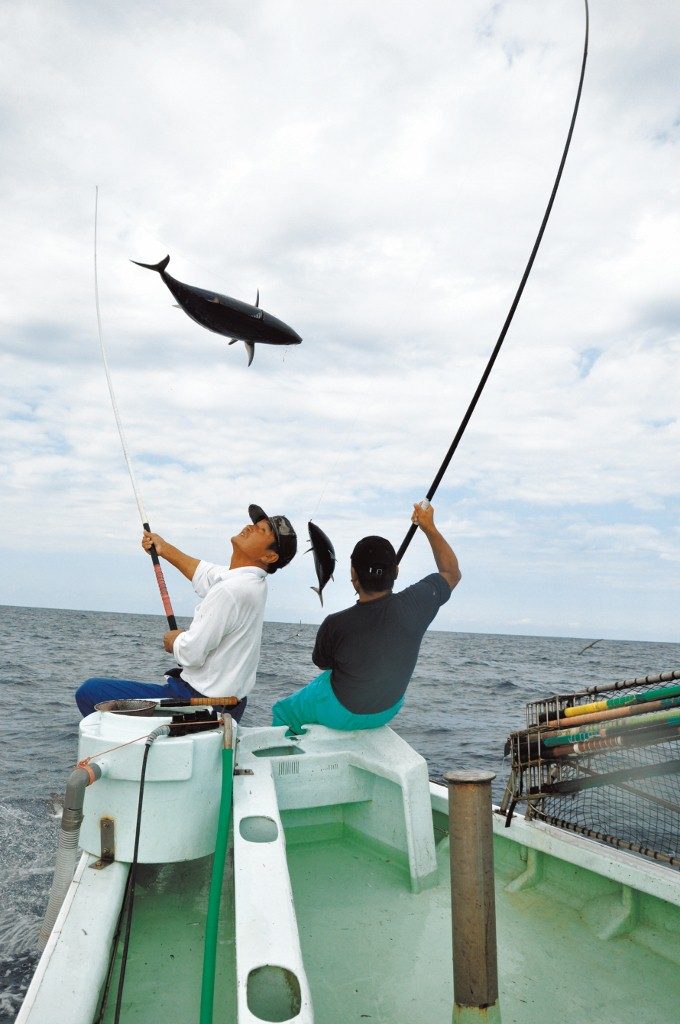 fish and seafood