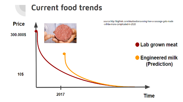 Alternative meat